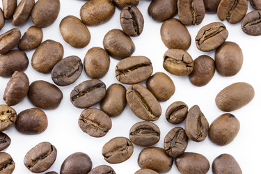 Similar image 1798918