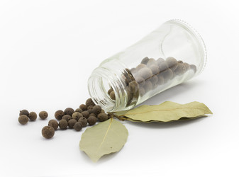 Similar image 1798929