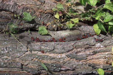 Similar image 1798933