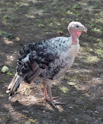 Similar image 1798934