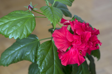 Similar image 1798939