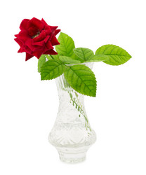 Similar image 1798942