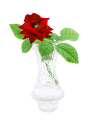 Similar image 1798943