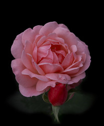 Similar image 1798947