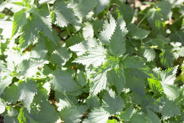 Similar image 1798949