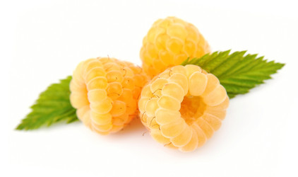 Similar image 1798951