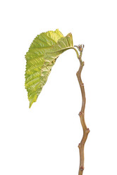 Similar image 1798958