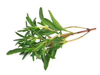 Similar image 1798971