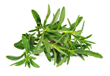 Similar image 1798982