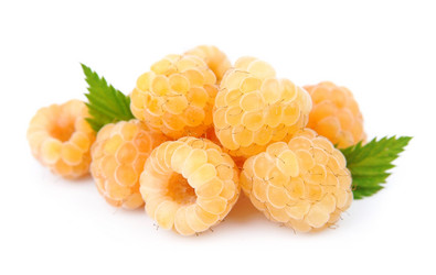 Similar image 1798983