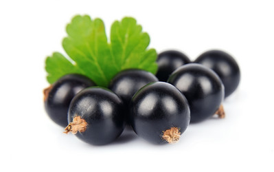 Similar image 1798986