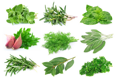 Similar image 1798995