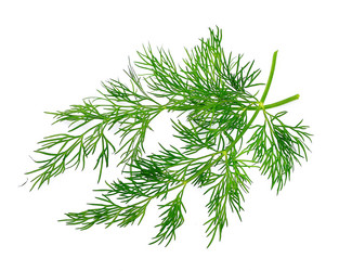 Similar image 1798999