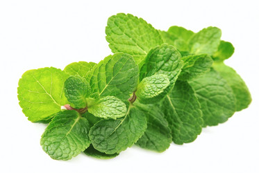 Similar image 1799006