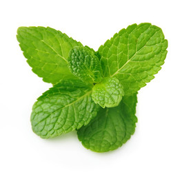 Similar image 1799007