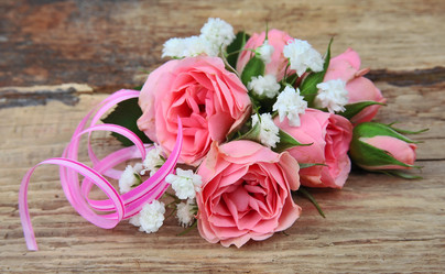 Similar image 1799013