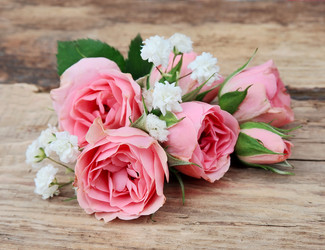 Similar image 1799014