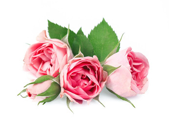 Similar image 1799020