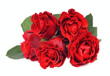 Similar image 1799025