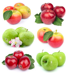 Similar image 1799026