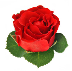 Similar image 1799028