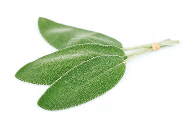 Similar image 1799045