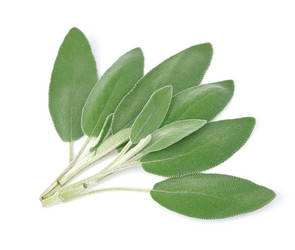 Similar image 1799047