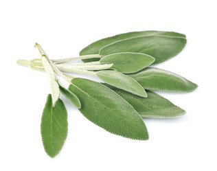 Similar image 1799048