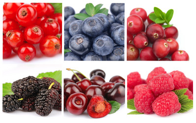 Similar image 1799056