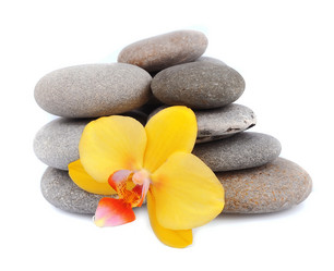 Similar image 1799059