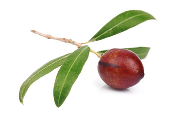 Similar image 1799075