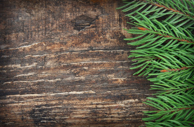 Similar image 1799100