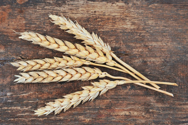 Similar image 1799106