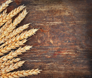 Similar image 1799108