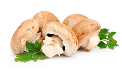 Similar image 1799114