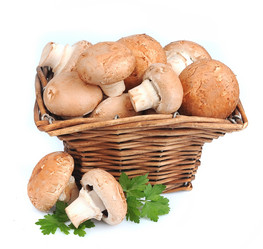 Similar image 1799117