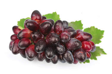 Similar image 1799119