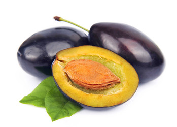 Similar image 1799120