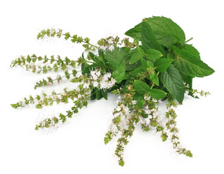 Similar image 1799123