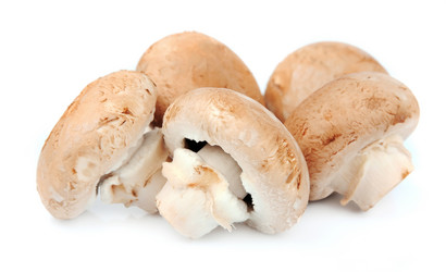 Similar image 1799126