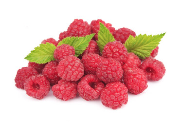 Similar image 1799128