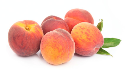 Similar image 1799131