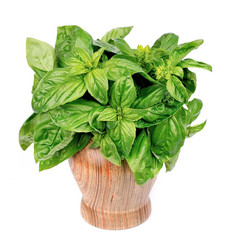 Similar image 1799142