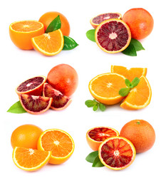 Similar image 1799149