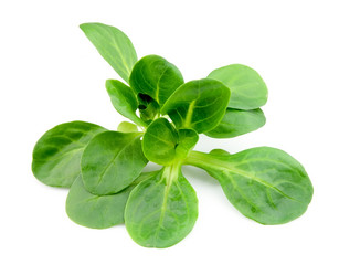 Similar image 1799153