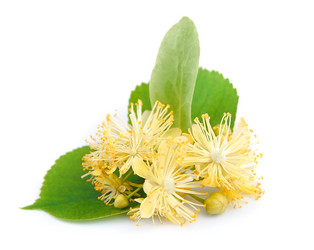 Similar image 1799154