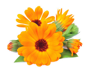 Similar image 1799165