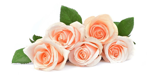 Similar image 1799175