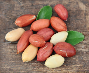 Similar image 1799177