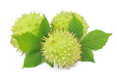 Similar image 1799203